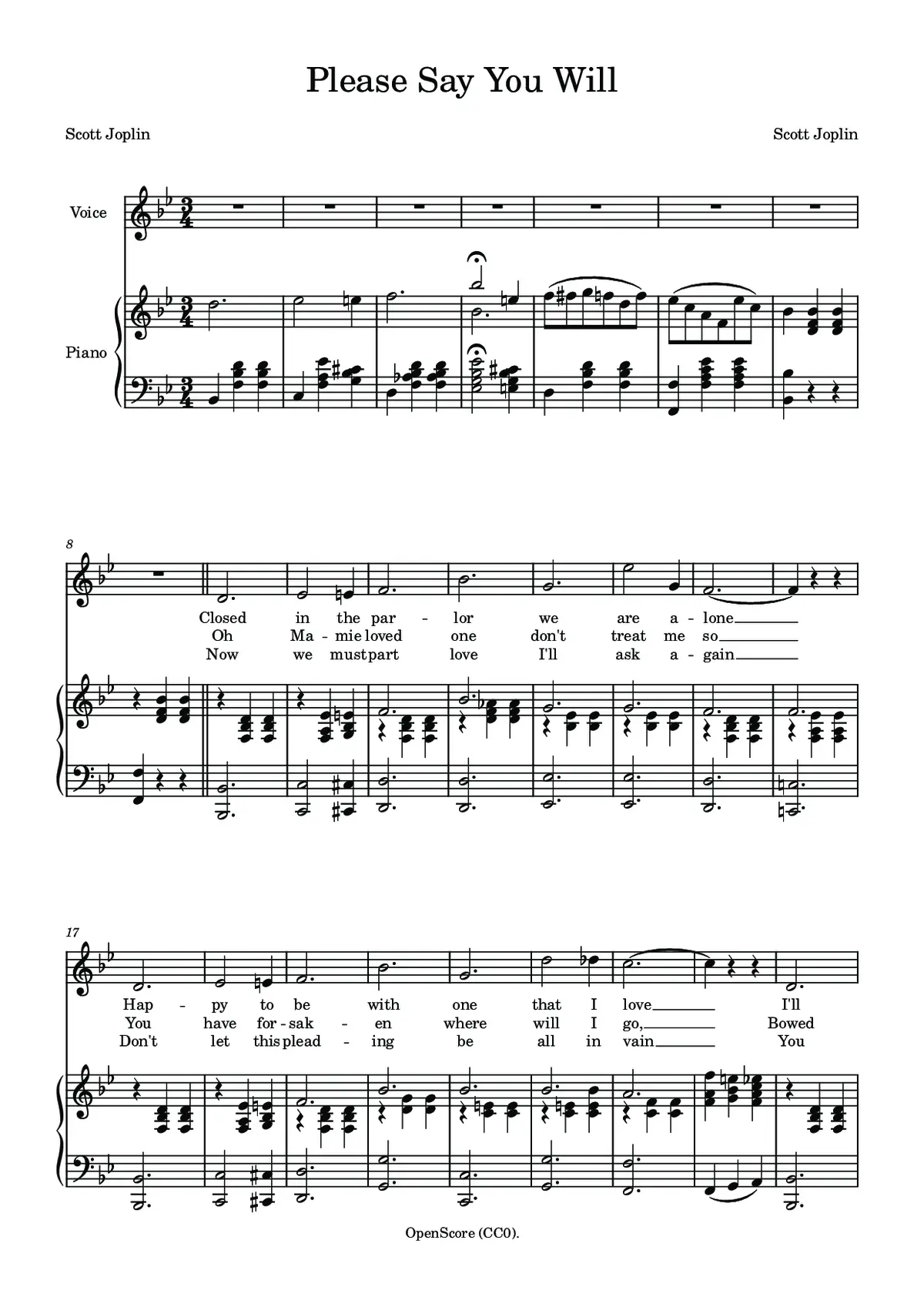 Please Say You Will - Page 1