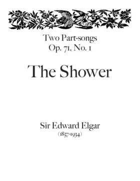 The Shower, Op. 71, No. 1