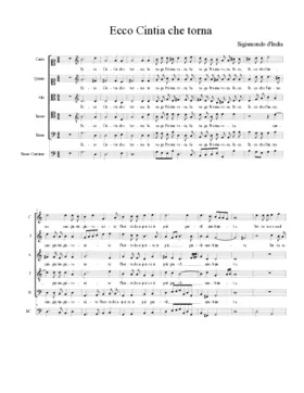 Ecco Cintia che torna