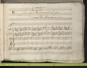 O mie porpora più belle