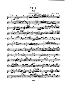 Piano Trio in F major