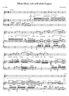 Mein Herz ich will dich fragen