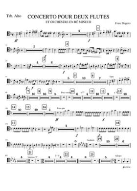 TRBA. CONCERTO 2 FLUTES