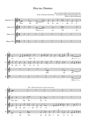 Heu me Domine