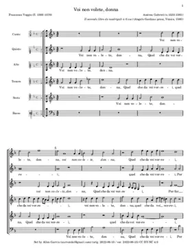 Voi non volete donna