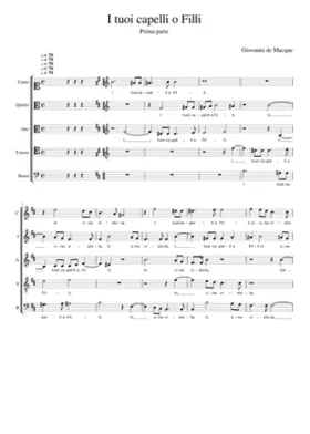 I tuoi capelli o Filli