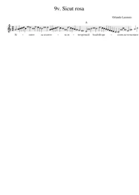 9v. Sicut rosa