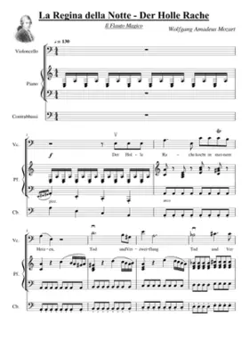 the magic flute - der hölle rache kocht in meinem herzen - the queen of the night