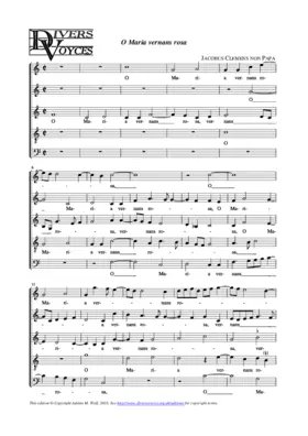O Maria vernans rosa