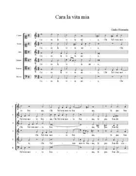 Cara la vita mia