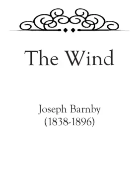 The wind