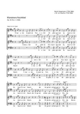Wanderers Nachtlied