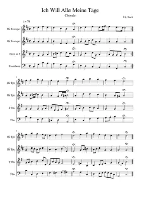 Es ist nichts Gesundes an meinem Leibe BWV 25