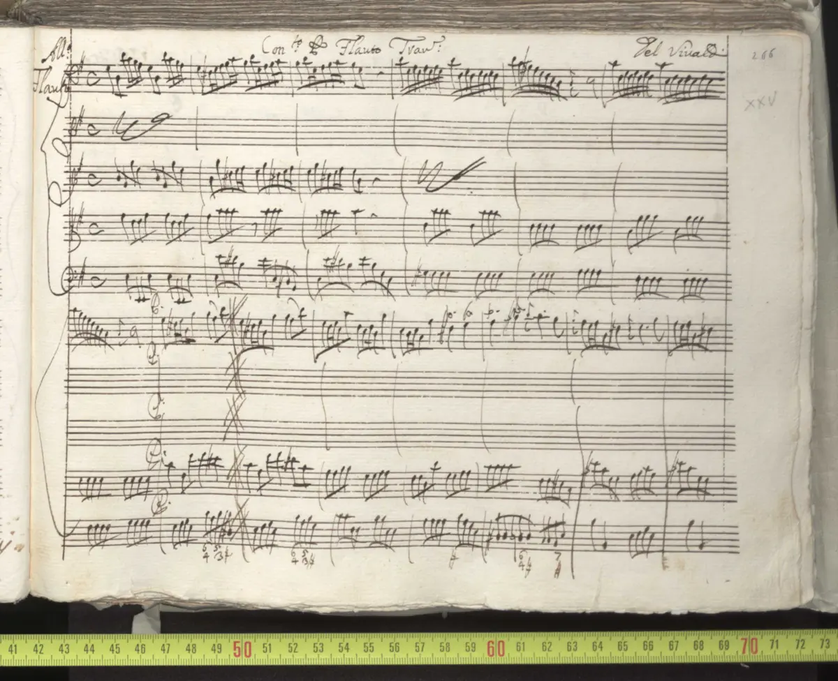 Flute Concerto in E minor - Page 1