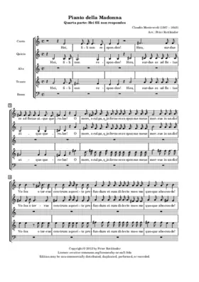 Hei fili non respondes