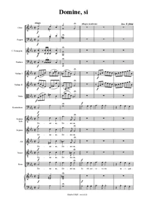 Domine, si