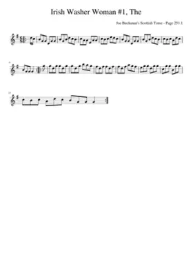 the irish washerwoman