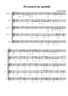 Peccantem me quotidie