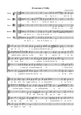 Sì traviato è 'l folle