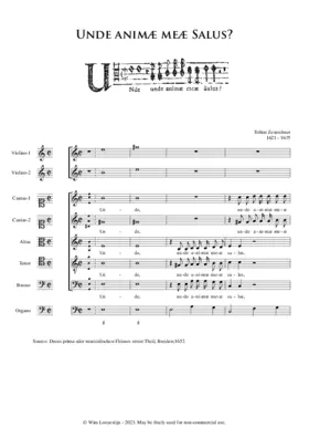 Unde animae meae salus