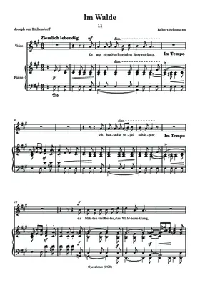 Im Walde
