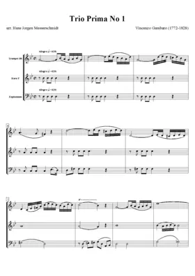 Trois Quatuors concertans pour Flûte, Clarinette, Cor et Basson