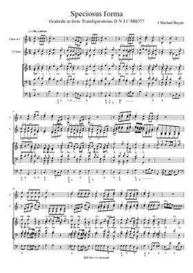 Speciosus forma, MH 377