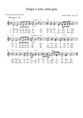 Despe o luto, veste gala