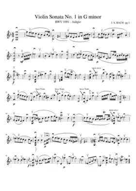 Violin Sonata No.1 in G minor BWV 1001