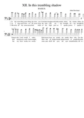 XII. In this trembling shadow