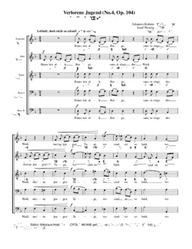 Verlorene Jugend, Op. 104, No. 4