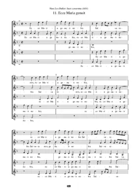 Ecce Maria genuit