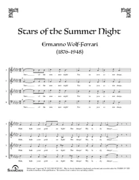 Stars of the summer night