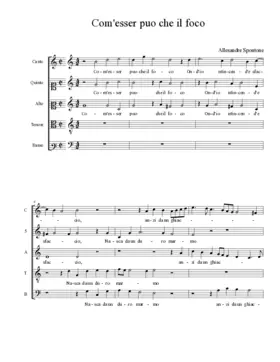 Com'esser puo che il foco