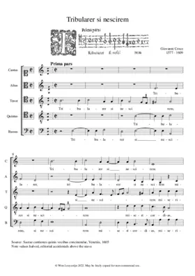 Tribularer si nescirem