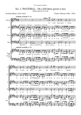 On a hill there grows a flower