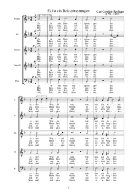 Es ist ein Reis entsprungen