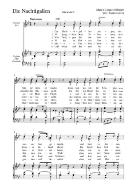 Die Nachtigallen