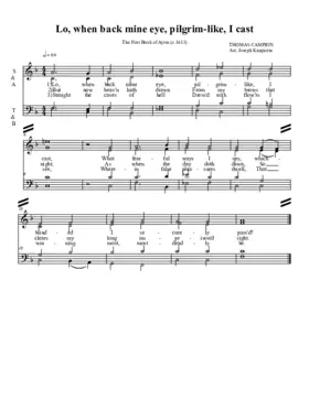 Lo, when back mine eye, pilgrim-like, I cast