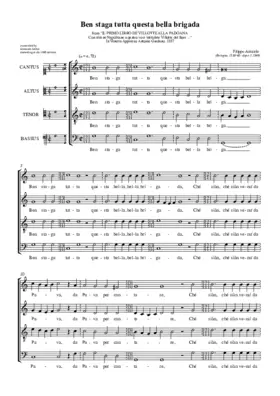 Ben staga tutta questa bella briga