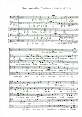 Falai, meus olhos, si me quereis beñy