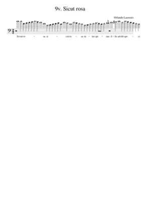 9v. Sicut rosa