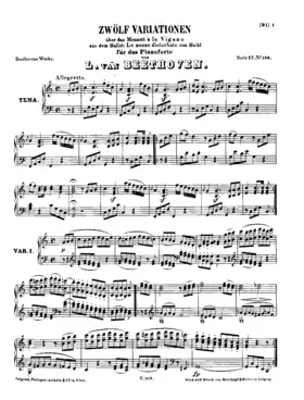 12 Variations on 'Menuet a la Vigano'