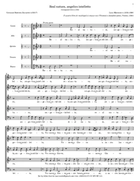 Real natura angelico intelletto