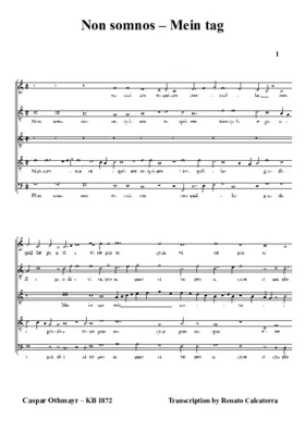 Non somnos requiem-Mein tag mit unrue