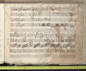 Concerto in G minor, RV 106