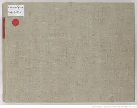 Il fanatico per gli antichi romani