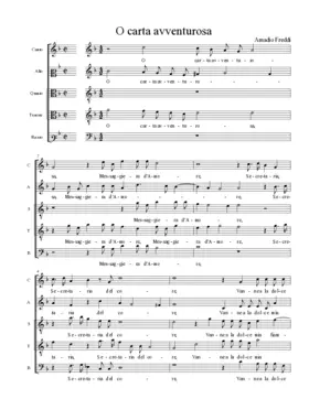 O carta avventurosa