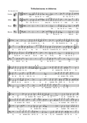 Tribulationem et dolorem