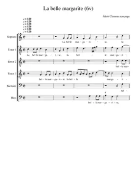 La belle margarite a 6